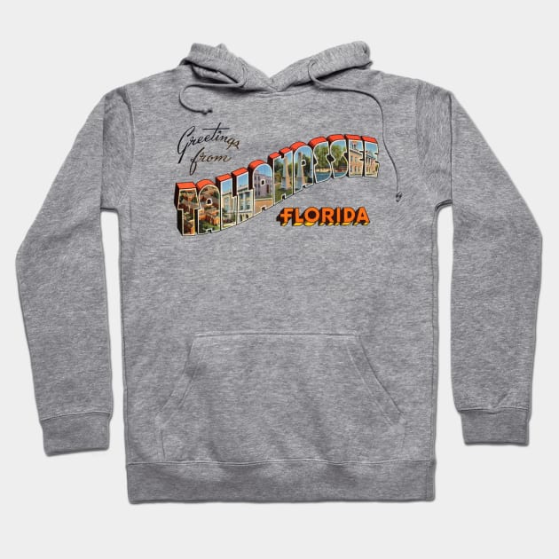 Greetings from Tallahassee Florida Hoodie by reapolo